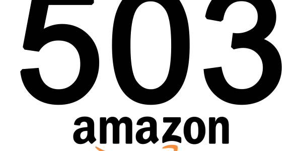 Amazon 503 error - CyberSEO Pro